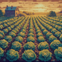 area_cabbagefarm.png
